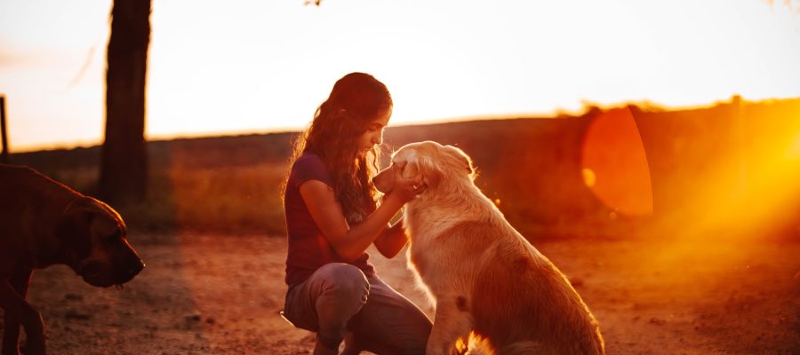 Dogs and children - Things you need to know