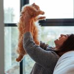 How can supplements help the immune system and resistance to diseases, cats?