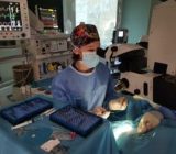 How do you choose the veterinary clinic suitable for your pet?