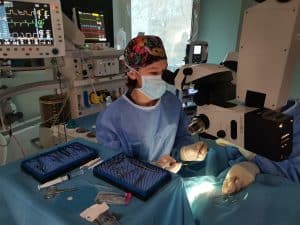 How do you choose the veterinary clinic suitable for your pet?