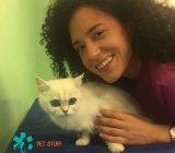 How to do correctly external for cats