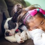 How to prevent Summer Pets disease