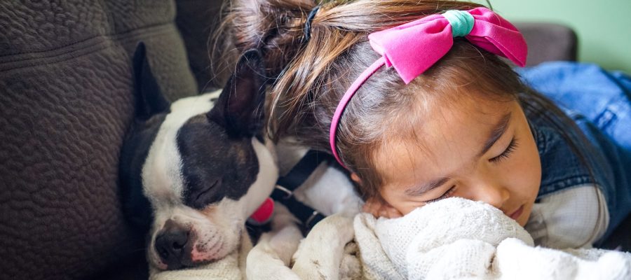 How to prevent Summer Pets disease