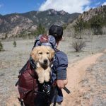 Leave with the quadruped in the mountains