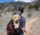 Leave with the quadruped in the mountains