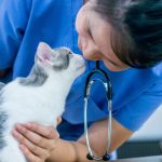 Pisci-veterinarians