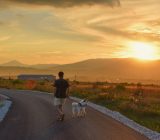 The heat is coming! What we should be careful in the hot season to protect our dogs