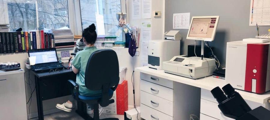 The importance of blood tests in pets