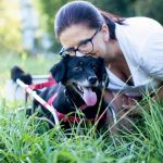 The life of a dog with locomotor handicap