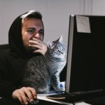 The most popular races of cats of 2023