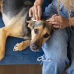 What do you need to know to save their lives
