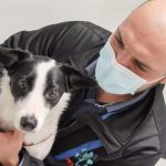 What should you know before adopting a dog? Essential suggestions of Dr. Cristian Cristea, Pet Stuff Veterinary Hospital
