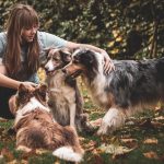 You are wrong! Preconceptions related to dogs or cats