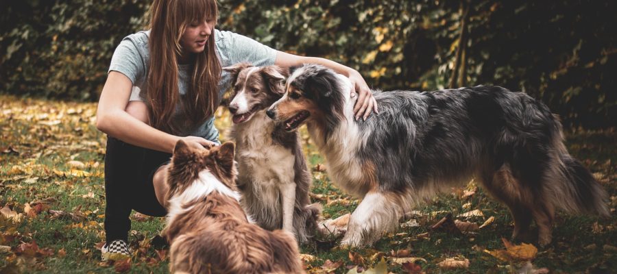 You are wrong! Preconceptions related to dogs or cats